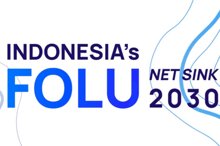 FOLU NET SINK 2030